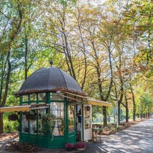 Un florar a transformat un colț dintr-un parc din Oradea în locul lui de joacă