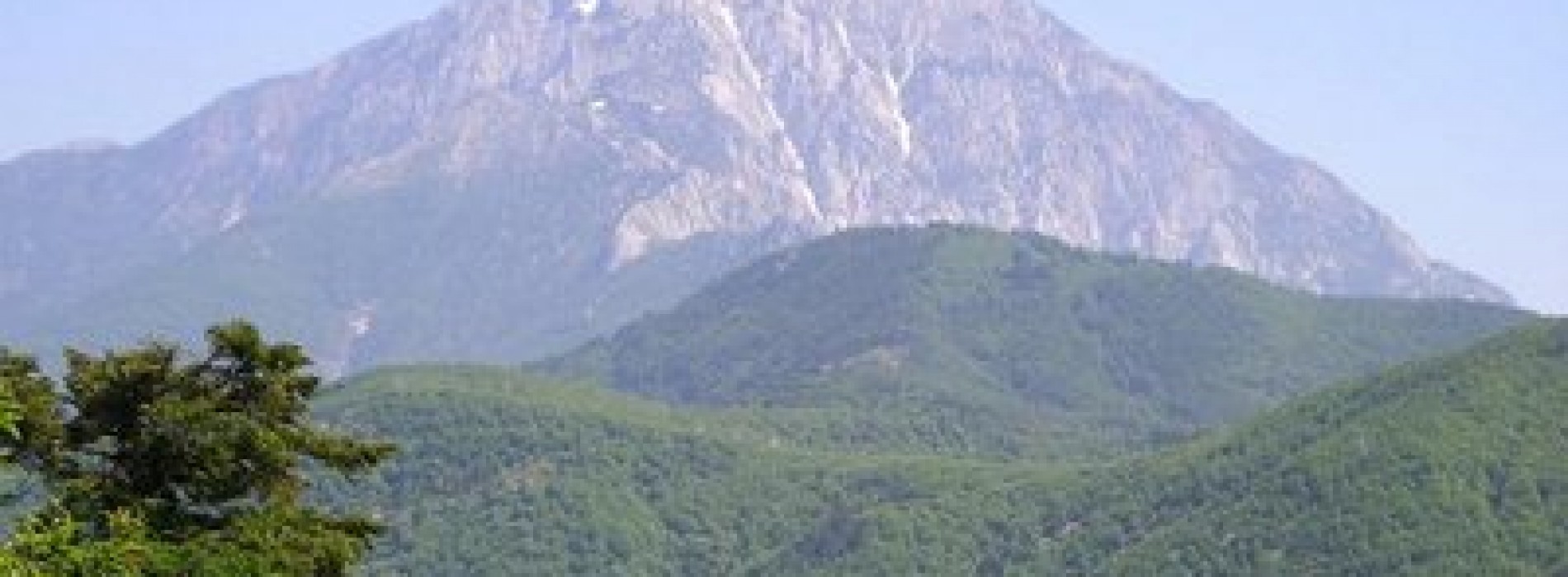 Reţetele străvechi ale călugărilor de pe Muntele Athos la Bucureşti