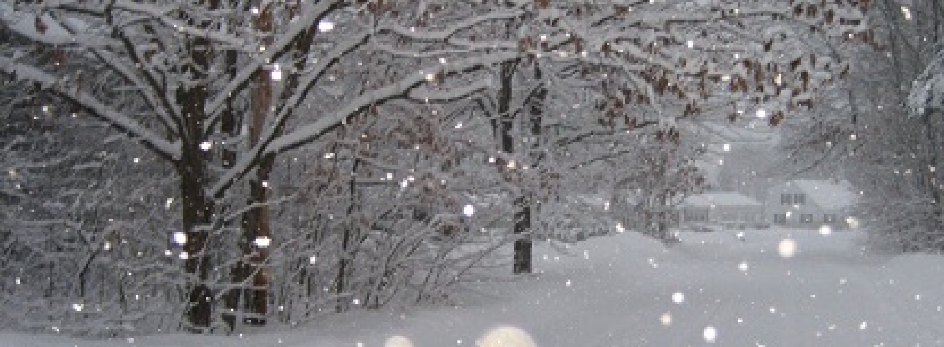 Turisti fiti atenti: ninge viscolit în Moldova, Dobrogea dar si în centrul şi estul Munteniei