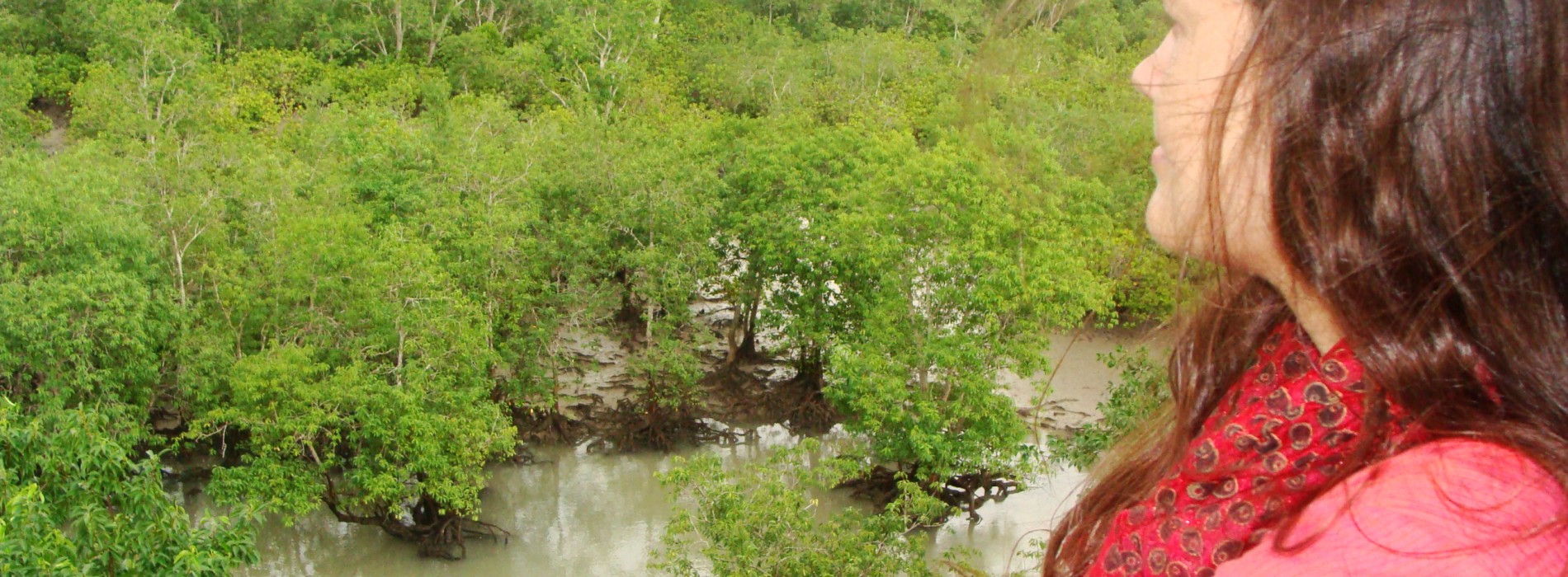 Sundarbans: tărâmul pădurii frumoase și al zeiței Bonbibi