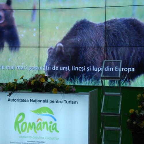 La Târgul de Turism de la Stuttgart, urșii de la Zărnești au atras turiștii