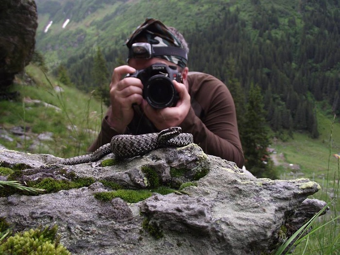 Doru Panaitescu, fotograful dintre păsări, reptile și animale