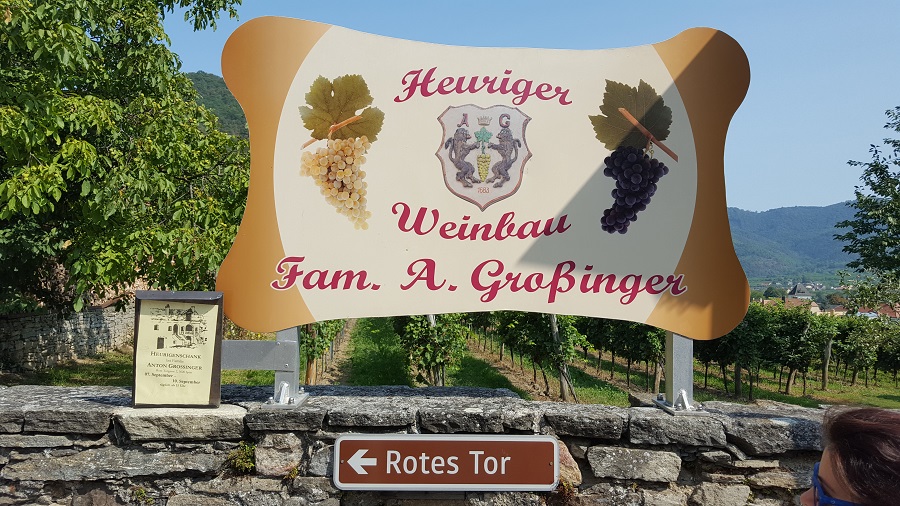 Heuriger, tradiția vienezilor de a se bucura toamna de vinul nou